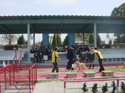 %E4%B9%85%E5%B1%85%E8%BE%B2%E6%9E%97%E8%A6%8B%E5%AD%A6%E4%BC%9A0424%20006.jpg