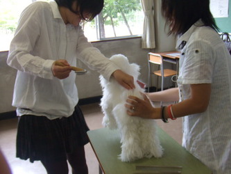 DSCF0650.JPG