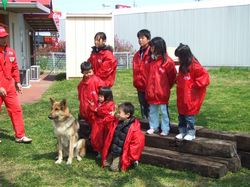 DSCF1203.JPG