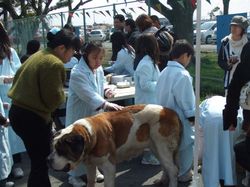 DSCF1204.JPG