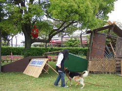 DSCF1223.JPG