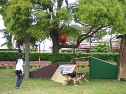 DSCF1224.JPG