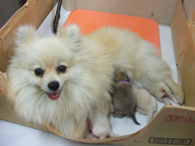 DSCF2675.JPG