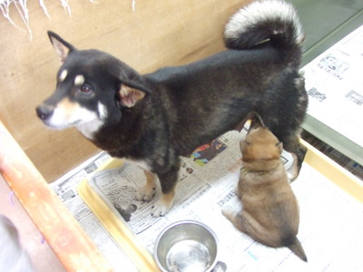 DSCF2681.JPG