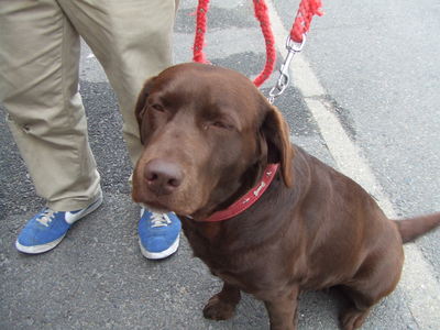 DSCF2739.JPG
