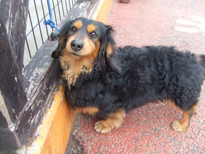 DSCF2744.JPG