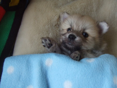 DSCF2771.JPG