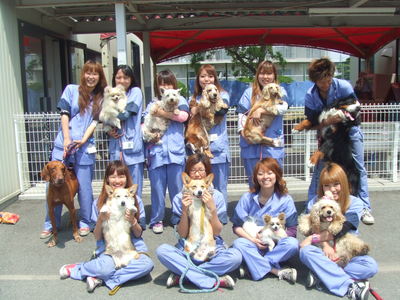 DSCF2807.JPG