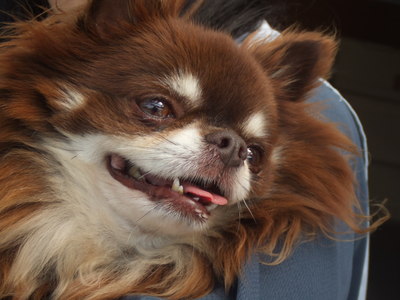 DSCF2877.JPG