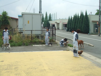 DSCF2973.JPG