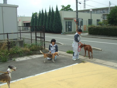 DSCF2975.JPG