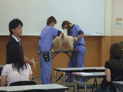 DSCF3108.JPG