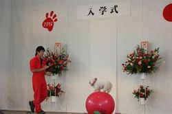 IMG_1206.JPG