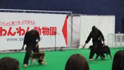 s-DSCF0502.jpg