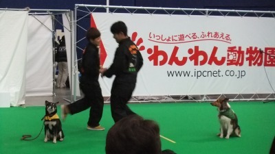 s-DSCF0503.jpg