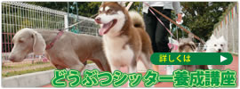 �V�b�^�[