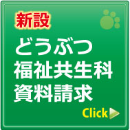 �ǂ��Ԃ���������